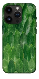 Чохол на Apple iPhone 14 Pro (6.1") Листя фото 1 з 1