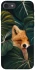 Чехол на Apple iPhone 7 / 8 (4.7") Fox фото 1 из 1