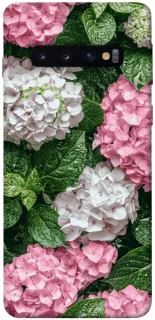 Чехол на Samsung Galaxy S10 Secret Garden фото 1 из 1