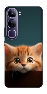 Чохол на Vivo Y300 Чохол Кошеня фото 1 з 1