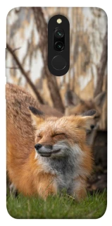 Чехол на Xiaomi Redmi 8 Лиса фото 1 из 1