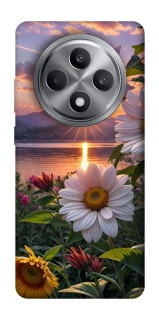 Чохол на Oppo Reno 12 F 4G Flowers v31 фото 1 з 1