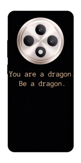 Чохол на Oppo Reno 12 F 4G/5G House of the Dragon ver.9 фото 1 з 1