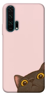 Чохол на Huawei Honor 20 Pro Peeping cat фото 1 з 1