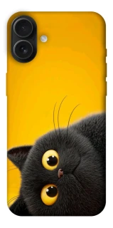 Чохол на Apple iPhone 16 Plus This is Cat фото 1 з 1