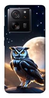 Чохол на Xiaomi 13T Cyber ​​owl фото 1 з 1