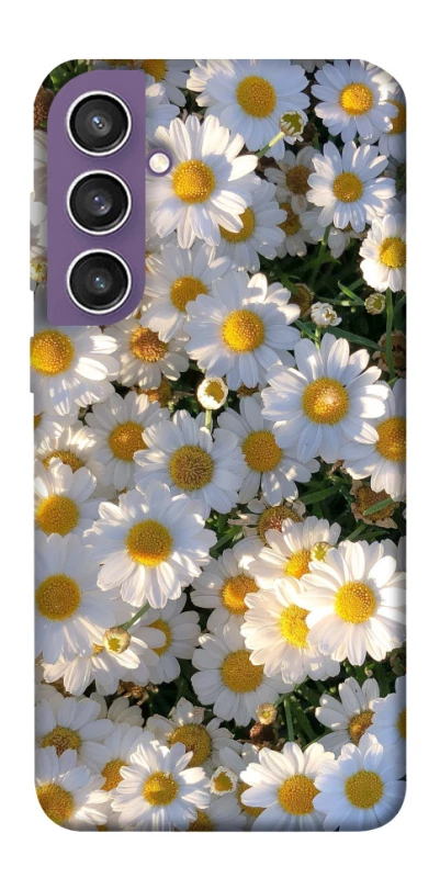 Чохол на Samsung Galaxy S23 FE Поле ромашок фото 1 з 1