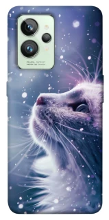 Чохол на Realme GT2 Snow cat фото 1 з 1