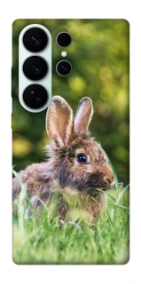 Чохол на Samsung Galaxy S26 Ultra Кролики фото 1 з 1