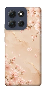 Чехол на Motorola Moto G86 Sakura ver.2 фото 1 из 1