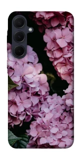 Чохол на Samsung Galaxy A35 Рожеві гартензії фото 1 з 1