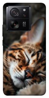 Чехол на Xiaomi 13T Pro Cat paws фото 1 из 1