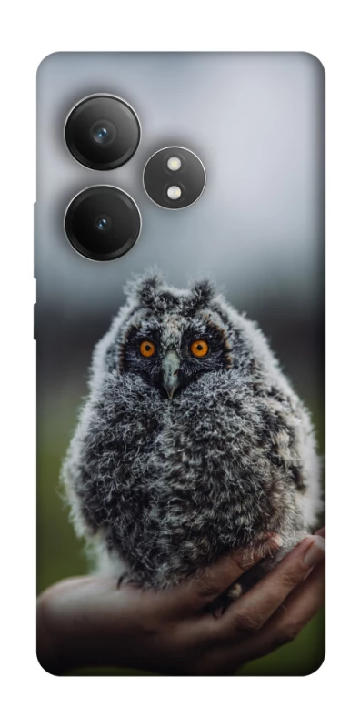 Чохол на Realme GT Neo 6 SE Совеня фото 1 з 1