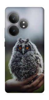 Чехол на Realme GT Neo 6 SE Совёнок фото 1 из 1