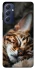 Чохол на Samsung Galaxy M54 5G Cat paws фото 1 з 1