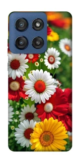 Чохол на Motorola Edge 60 Stylus Flowers v11 фото 1 з 1