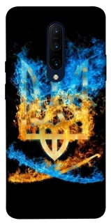 Чехол на OnePlus 7 Pro Герб v16 фото 1 из 1