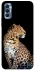 Чохол на TECNO Spark 8P Leopard v2 фото 1 з 1