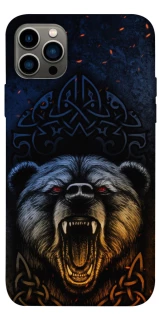 Чехол на Apple iPhone 12 Pro (6.1") Bear v2 фото 1 из 1