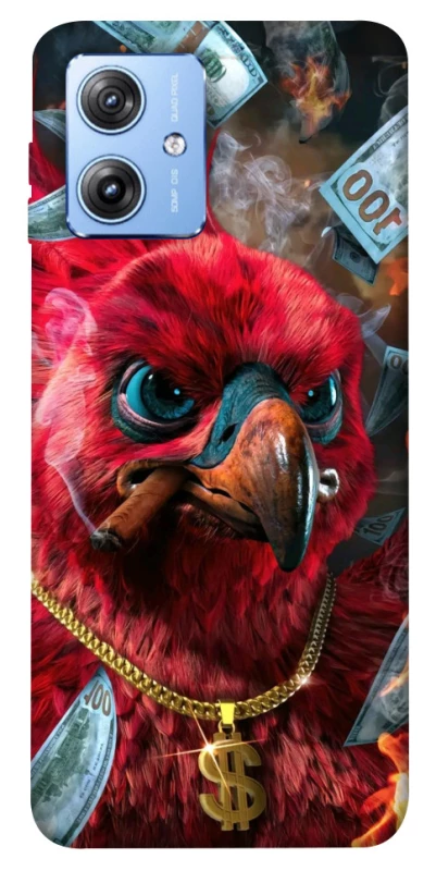 Чехол на Motorola Moto G84 Попугай фото 1 из 1