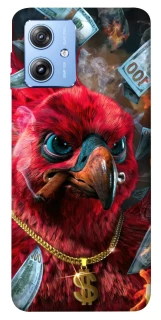 Чехол на Motorola Moto G84 Попугай фото 1 из 1