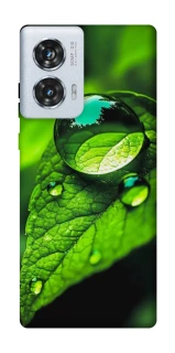 Чохол на Motorola Edge 50 Fusion Flowers v16 фото 1 з 1