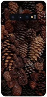 Чехол на Samsung Galaxy S10 Magic1 фото 1 из 1