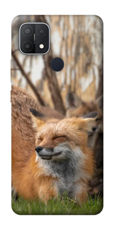 Чохол на Oppo A15s / A15 Лисиця фото 1 з 1