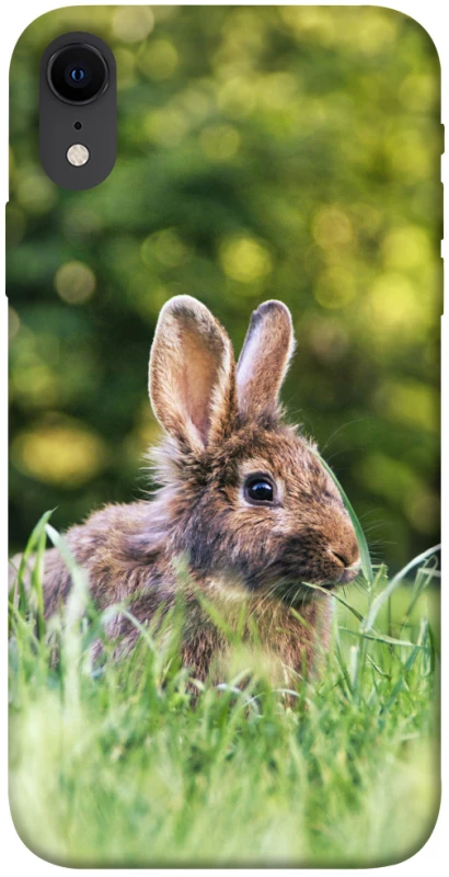 Чехол на Apple iPhone XR (6.1") Кролики фото 1 из 1