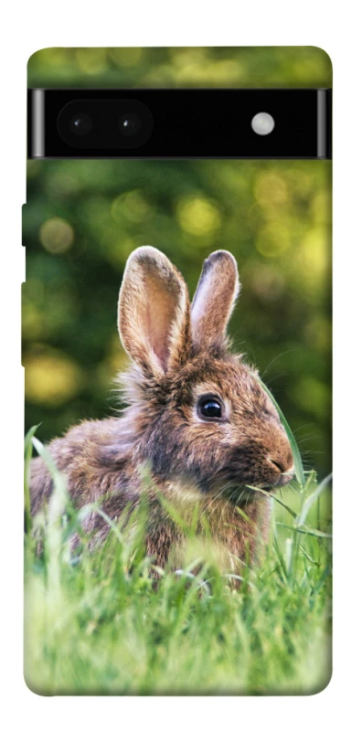 Чохол на Google Pixel 6a Кролики фото 1 з 1