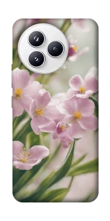 Чехол на Xiaomi Civi 5 Pro Spring фото 1 из 1