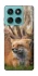 Чохол на Motorola Edge 60 Fusion Лисиця фото 1 з 1