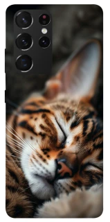 Чохол на Samsung Galaxy S21 Ultra Cat paws фото 1 з 1