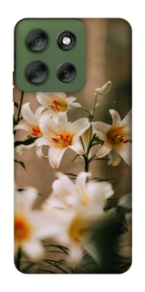 Чохол на Motorola Moto G56 5G Лілії фото 1 з 1