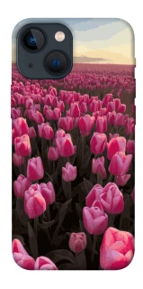 Чехол на Apple iPhone 13 mini (5.4") Spring Awakening фото 1 из 1