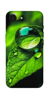 Чохол на Apple iPhone 17e (6.1") Flowers v16 фото 1 з 1