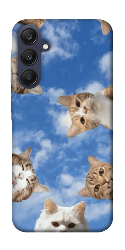 Чехол на Samsung Galaxy A25 5G Сats фото 1 из 1