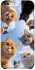 Чехол на Apple iPhone 6/6s plus (5.5") Cats фото 1 из 1