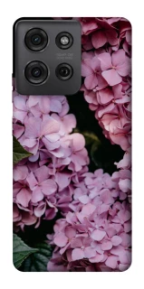 Чохол на Motorola Moto G75 Рожеві гартензії фото 1 з 1