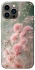 Чохол на Apple iPhone 12 Pro Max (6.7") Flowers v26 фото 1 з 1