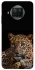 Чехол на Xiaomi Mi 10T Lite / Redmi Note 9 Pro 5G Leopard v4 фото 1 из 1