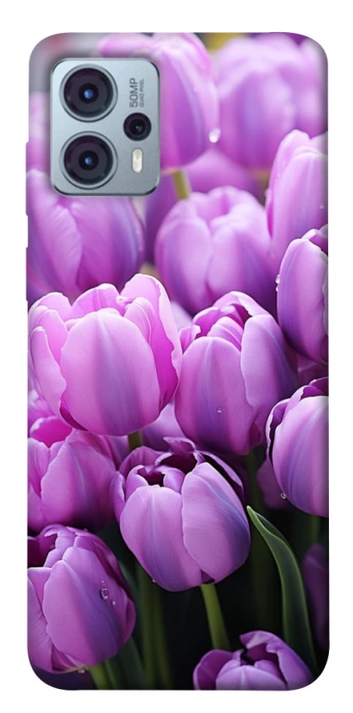 Чехол на Motorola Moto G23 Фиолетовые тюльпаны фото 1 из 1