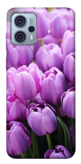 Чохол на Motorola Moto G23 Фіолетові тюльпани фото 1 Чохол на Motorola Moto G23 Фіолетові тюльпани фото 1 з 1