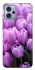 Чехол на Motorola Moto G23 Фиолетовые тюльпаны фото 1 из 1