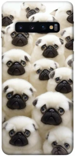 Чохол на Samsung Galaxy S10 Doggy Pug Love фото 1 з 1