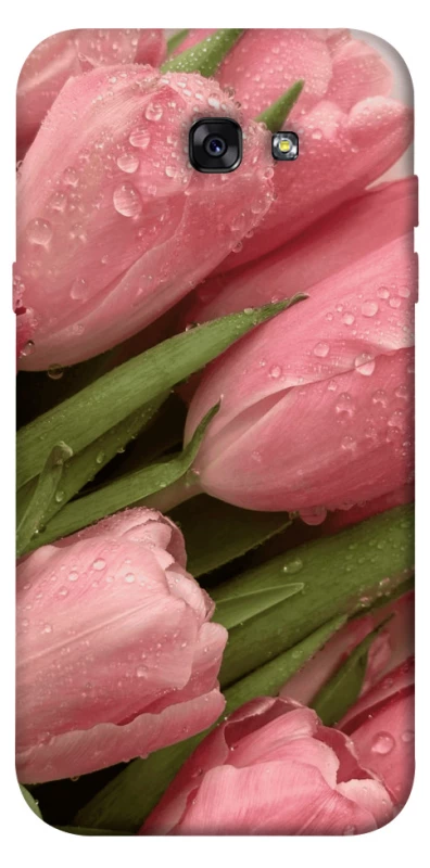 Чохол на Samsung A720 Galaxy A7 (2017) Beauty фото 1 з 1