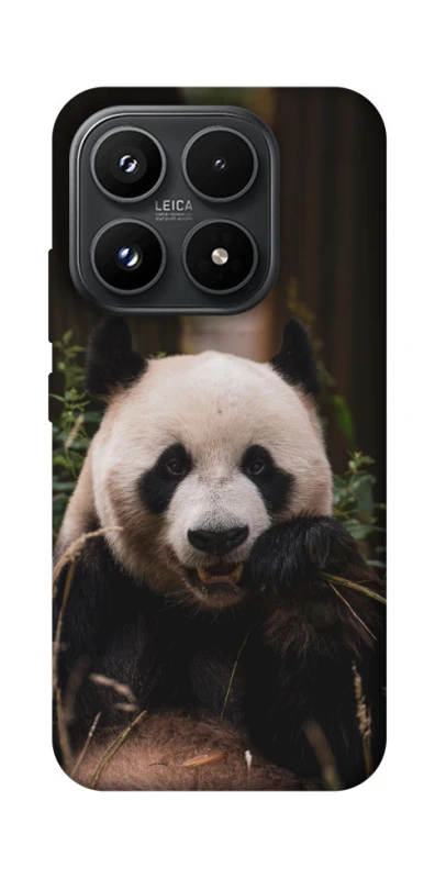 Чохол на Xiaomi 17 Панда фото 1 з 1