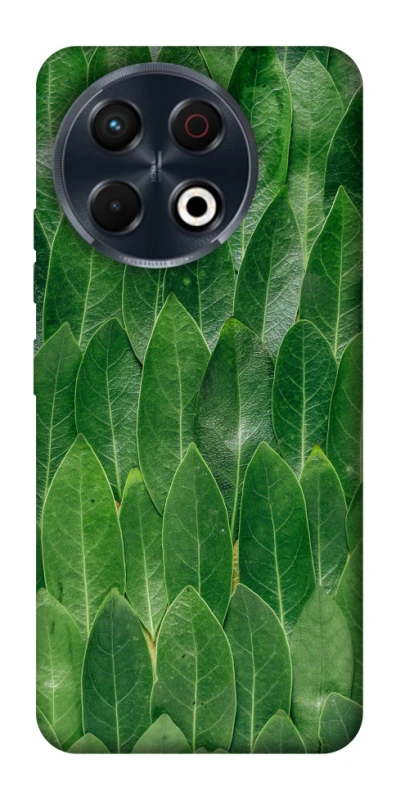 Чохол на TECNO Spark 30 Pro (KL7) Листя фото 1 з 1