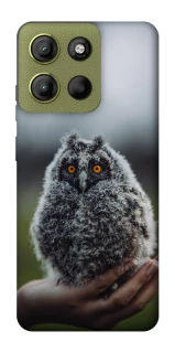 Чехол на Motorola Moto G15 4G Совёнок фото 1 из 1