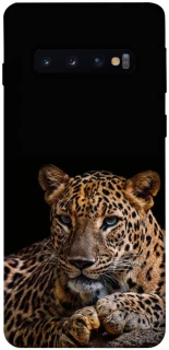 Чохол на Samsung Galaxy S10 Leopard v4 фото 1 з 1